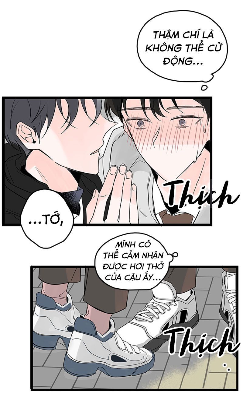 tình cờ yêu (full) chapter 1 52