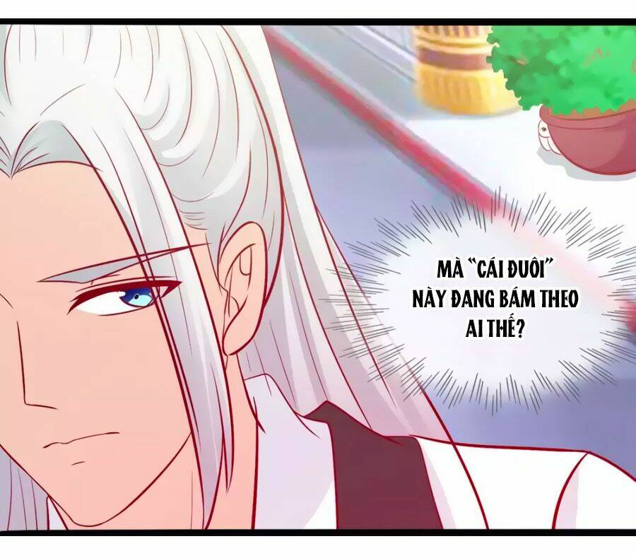 thỏ yêu tiểu vương phi chapter 49 12