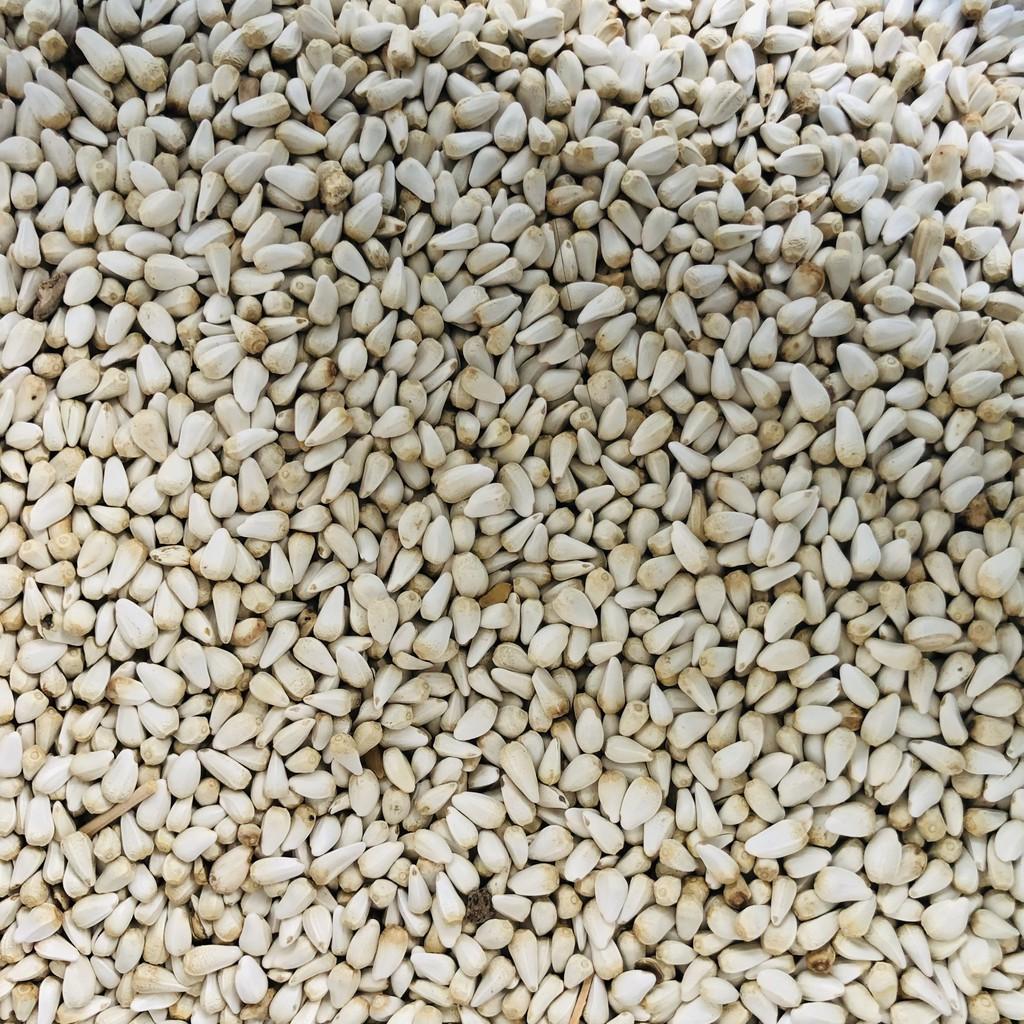 Hạt Kham, thức ăn cho thú cưng chim cảnh, vẹt, Hamster, gà đá, sóc, nhím