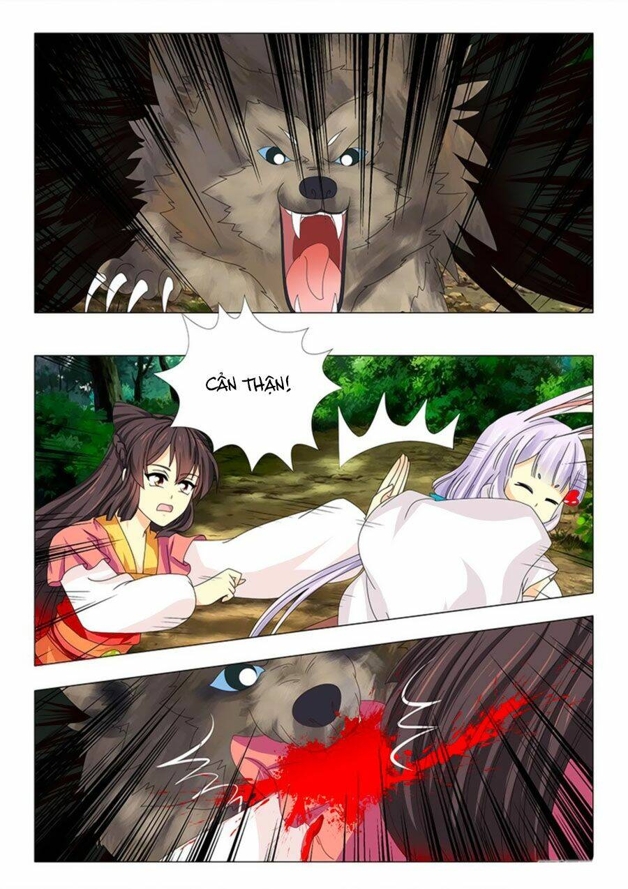 đống phù đã khai quang chapter 58 6