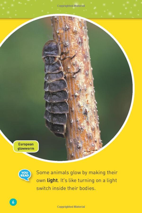 Glowing Animals (L1/Co-Reader) (National Geographic Readers)