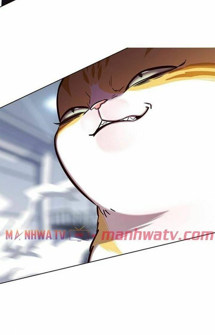 biến thân thành mèo chapter 120 78
