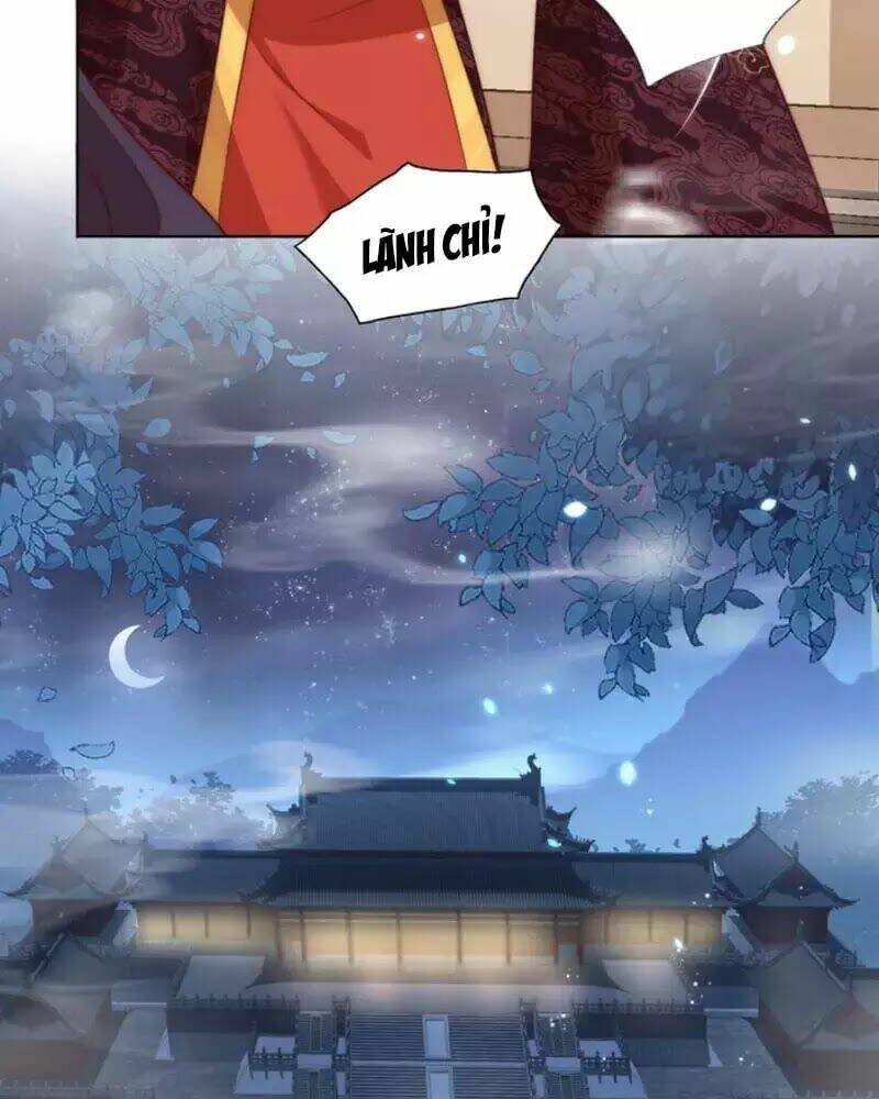 công chúa tại thượng: quốc sư mời xuống kiệu chapter 30 64