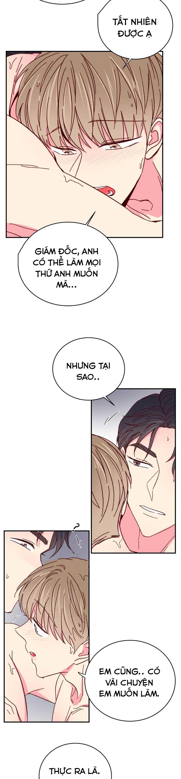 món tráng miệng của sếp tổng chapter 70 16