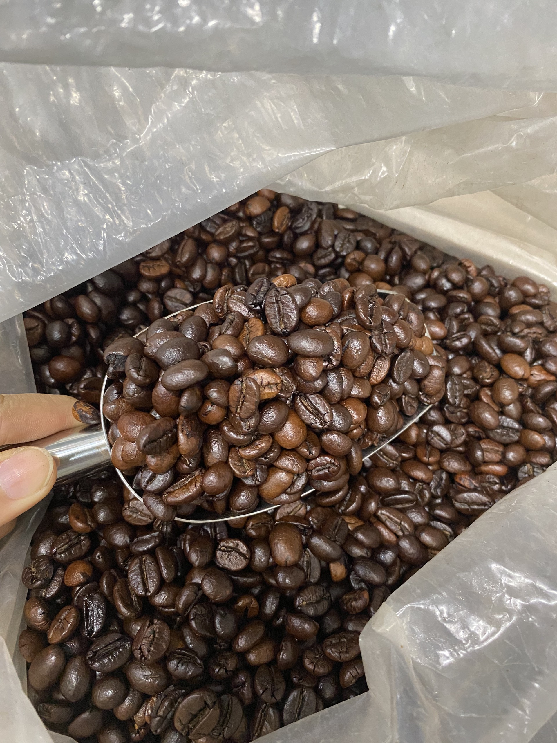 Cà phê Robusta Mix Hương Moka Thơm Hạnh Nhân Đậm Lâu - ZeMor Coffee