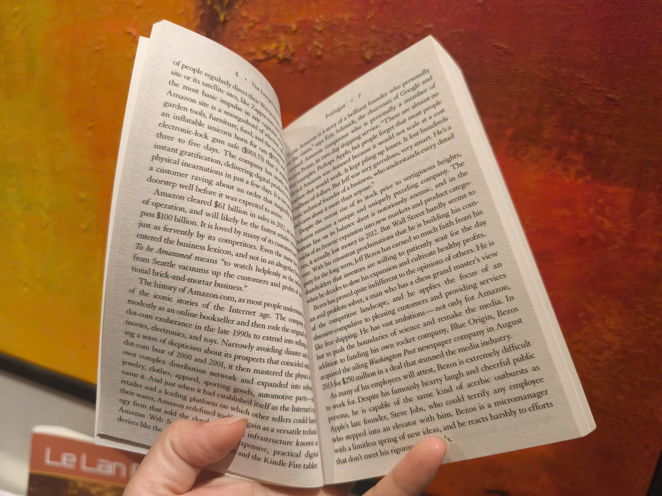 Sách - The Everything Store: Jeff Bezos and the Age of Amazon by Brad Stone