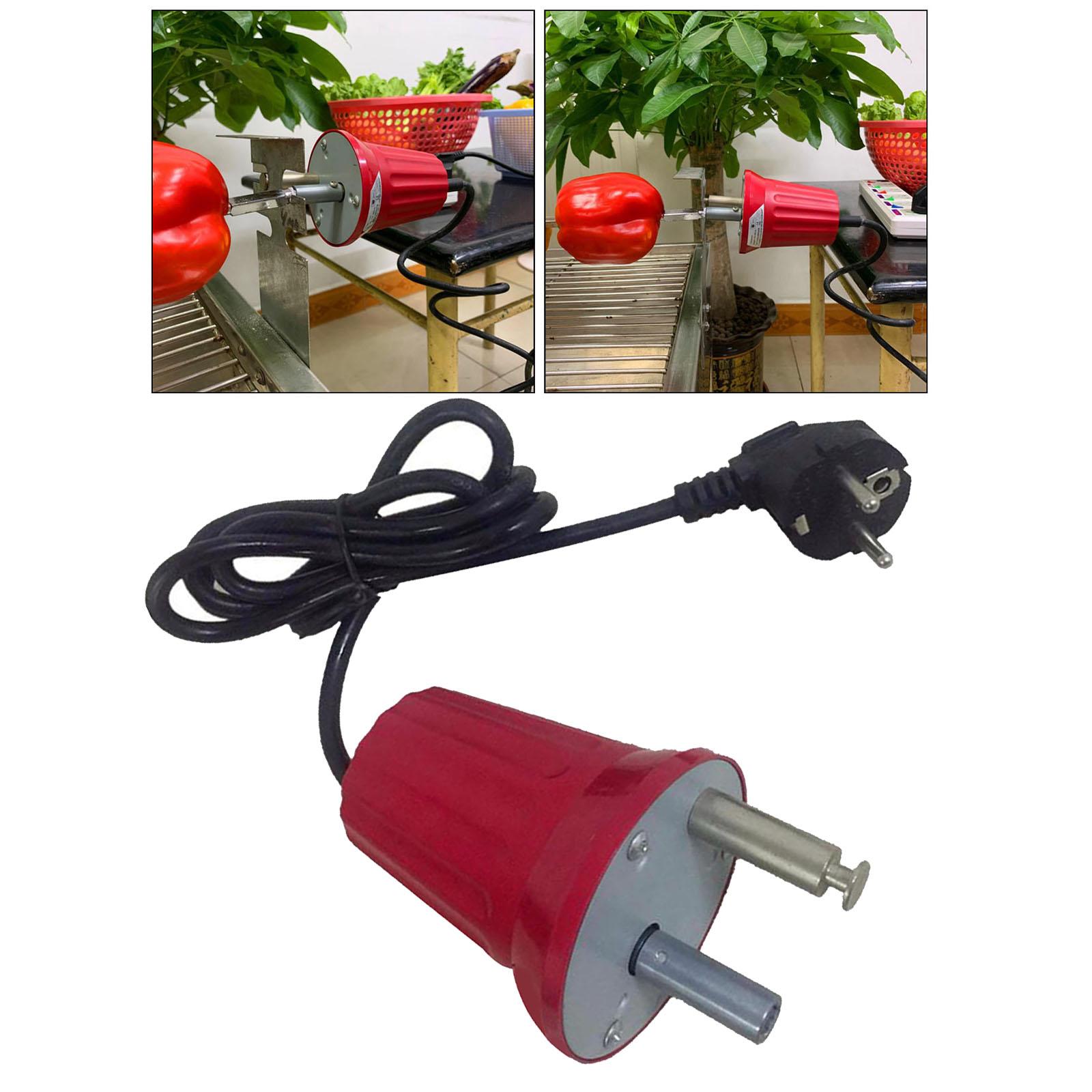 Barbecue Oven Motor 220-240V Oven Rotisserie Motor Camping BBQ Accessories