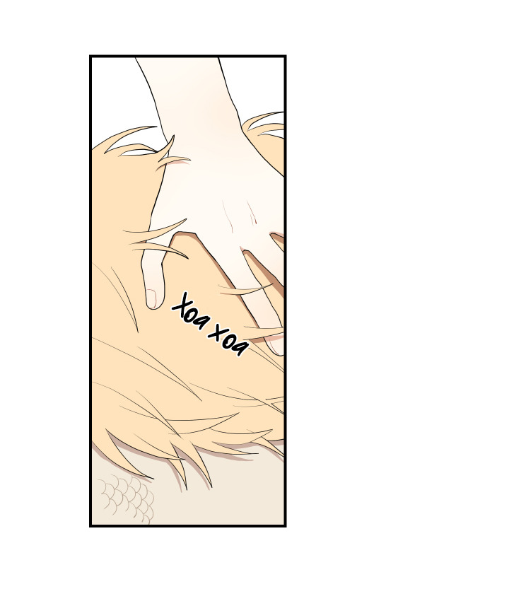 đường hoa liên kiều rơi chapter 20 58