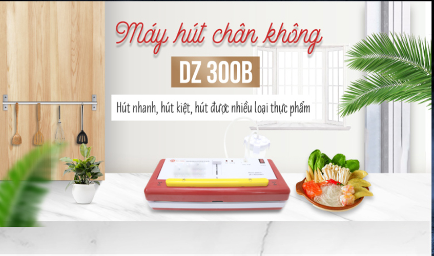 Máy Hút Chân Không, Đóng Gói Thực Phẩm Mini Gia Đình DZ300B NEWSUN- Nhỏ Gọn Tiện Lợi - Hàng Chính Hãng