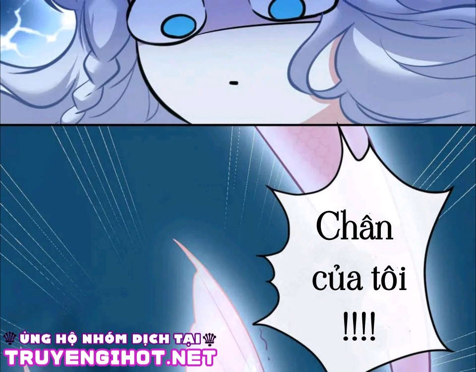 người cá học yêu chapter 3 15