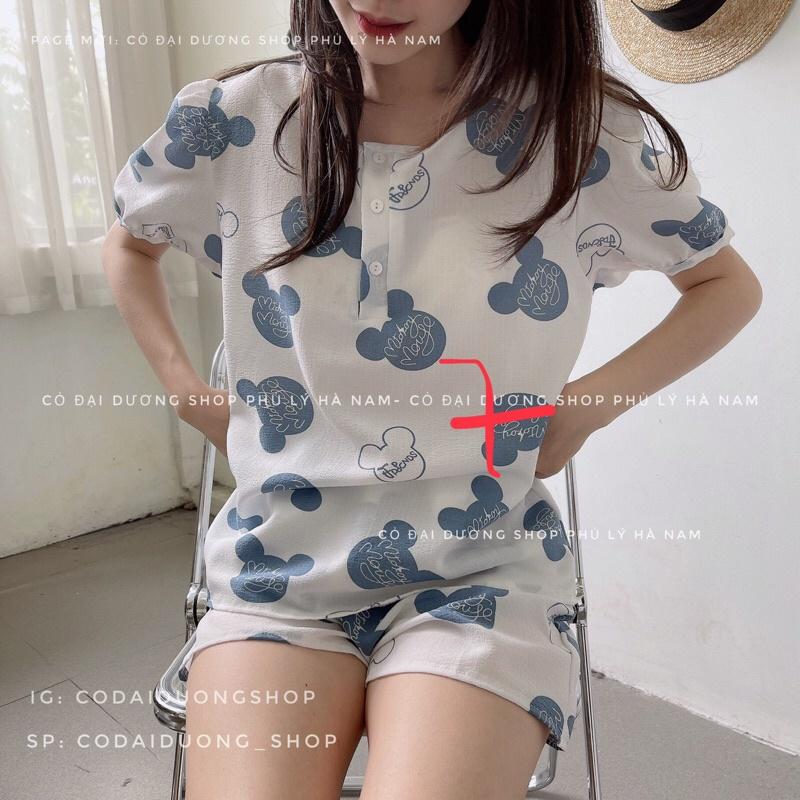 Bộ ngủ xốp cộc cổ tròn