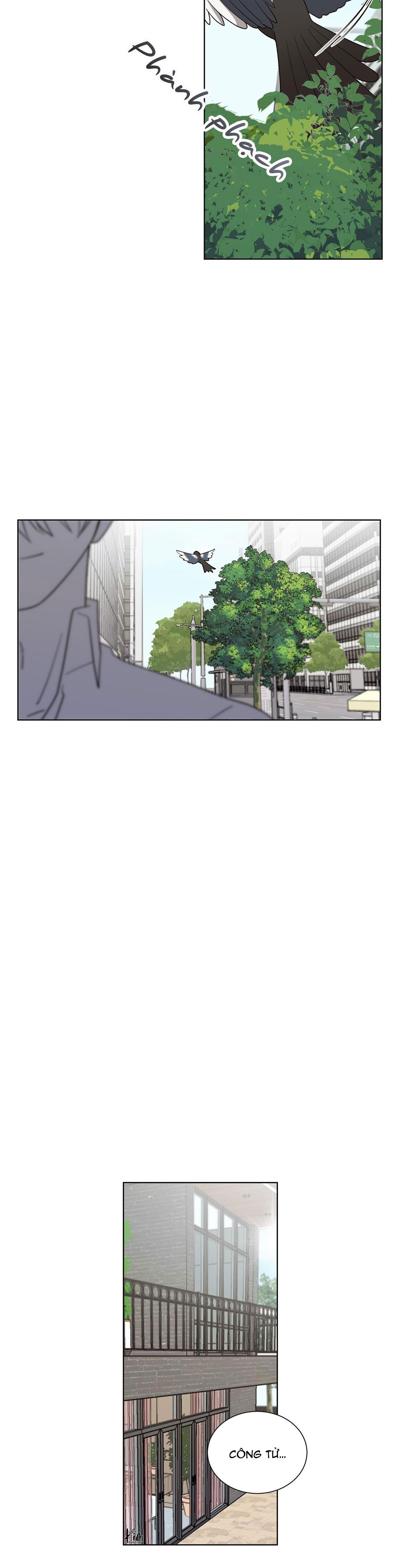 khi chim thước đến chapter 9 19