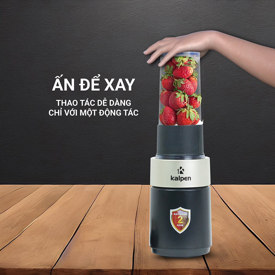 Máy xay sinh tố mini Kalpen Đức B6 công suất 700W tặng Bình 500ml - Hàng chính hãng