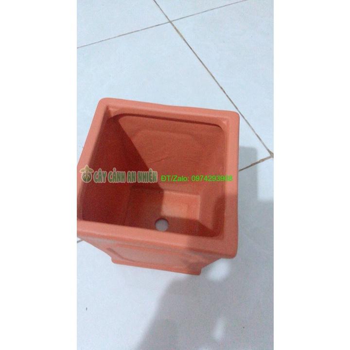 Chậu Đất Nung Trồng Cây