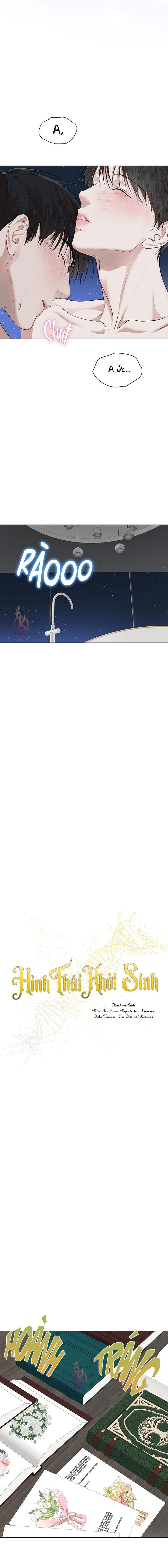 hình thái khởi sinh chapter 78 7