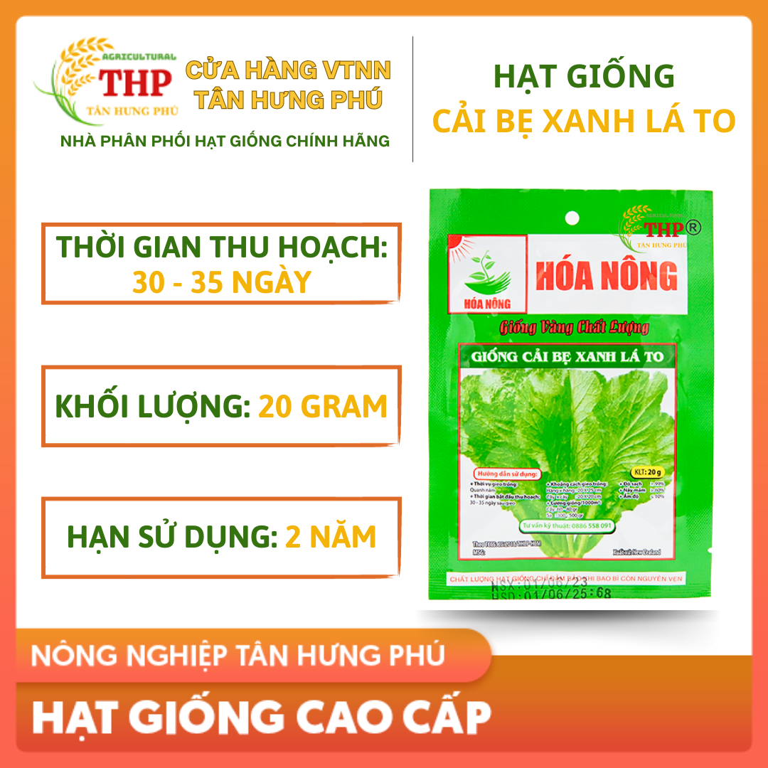 Hạt giống Cải Bẹ Xanh Lá To | Hạt giống | gói 20gr