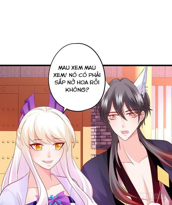 hồ tiên hung bạo chapter 137 53