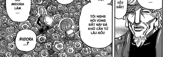 thánh tỏi sành ăn chapter 269 29