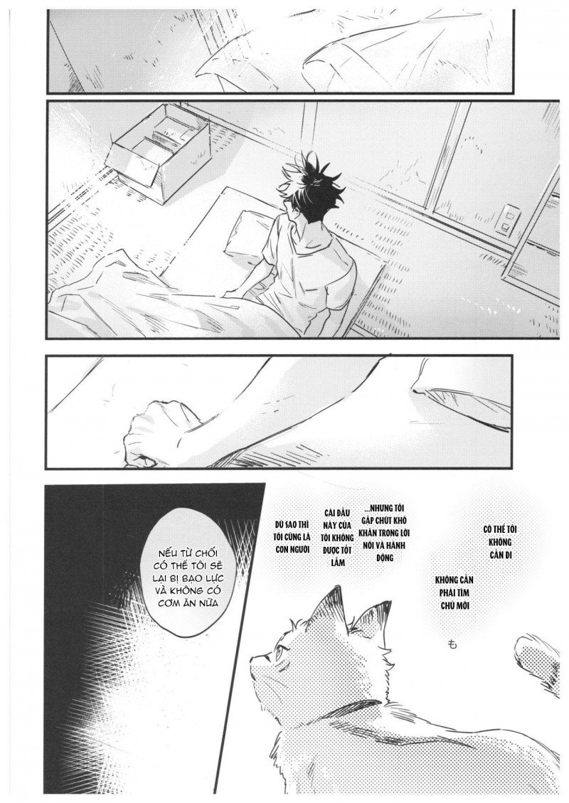 cp trong jujutsu kaisen dj chapter 15.2 31