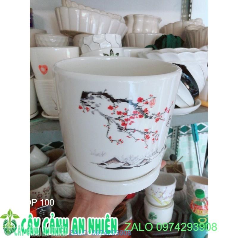 Chậu Trồng Cây