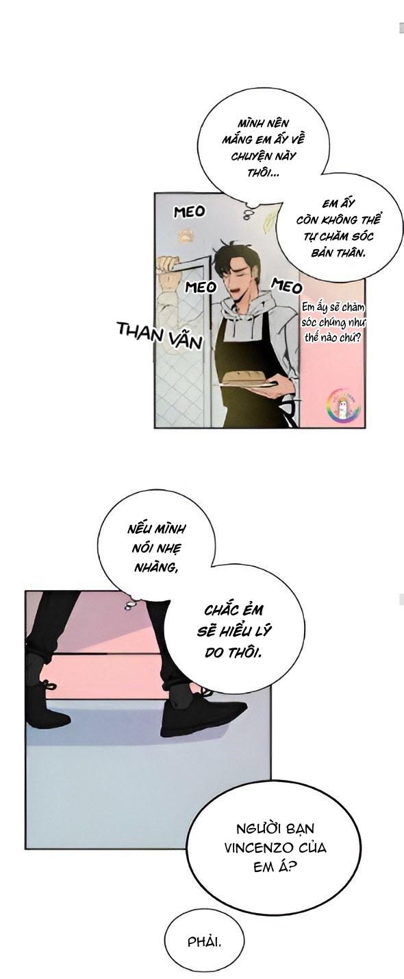 bona sort chapter 22 33