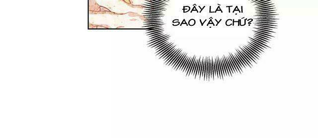 nữ hoàng ngoại khoa chapter 26 65