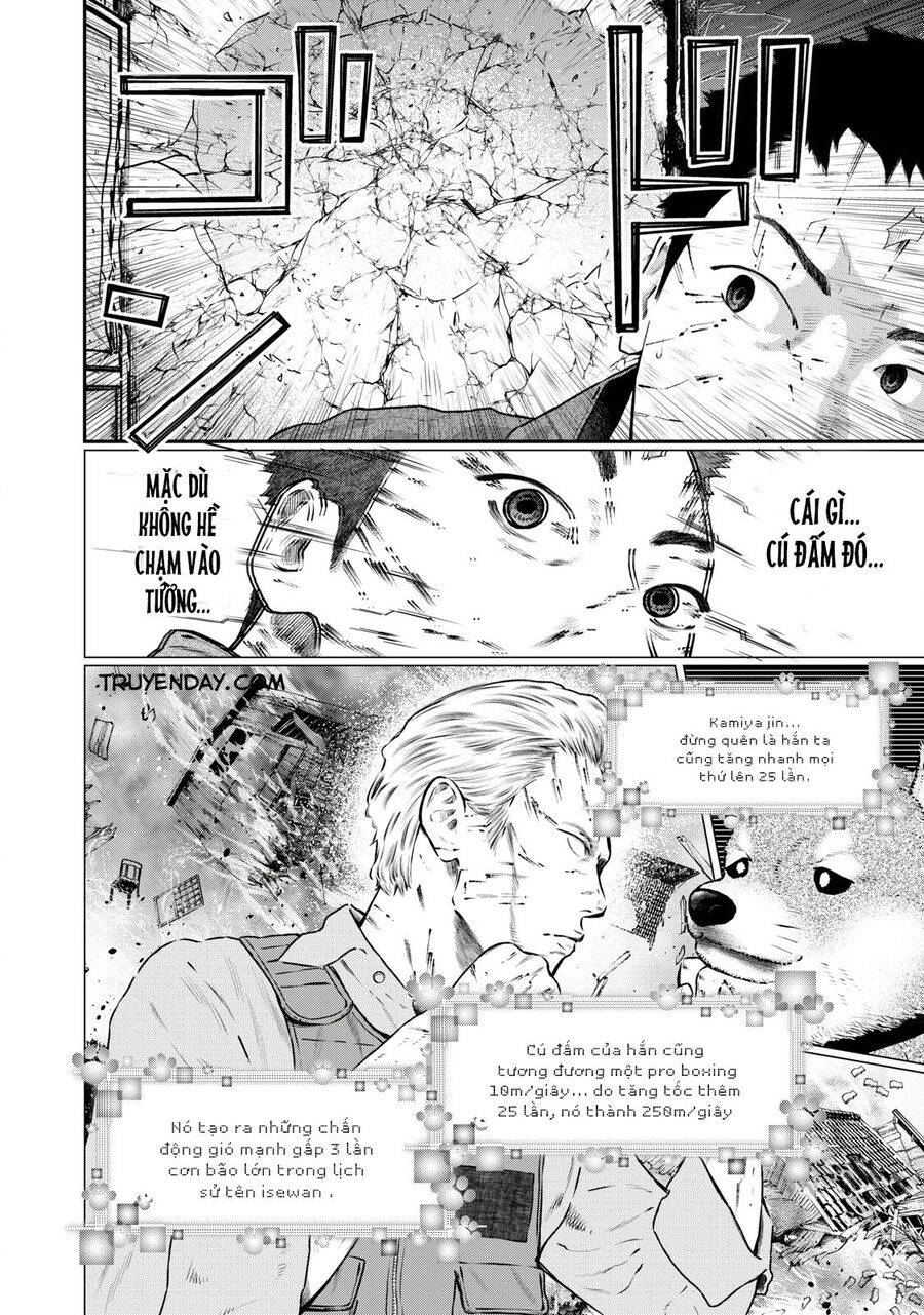 mật danh: nostra chapter 21 8