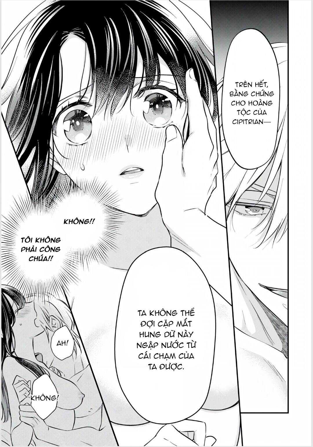 xuyên vào thế giới khác, trở thành thế thân cho công chúa rồi bị bạo chúa mang đi chapter 2.2 4