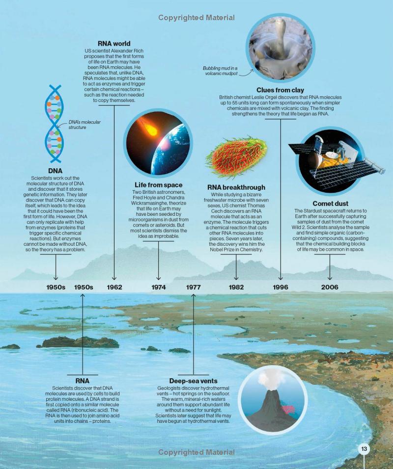 Sách ngoại văn: Timelines of Science - From Fossils To Quantum Physics