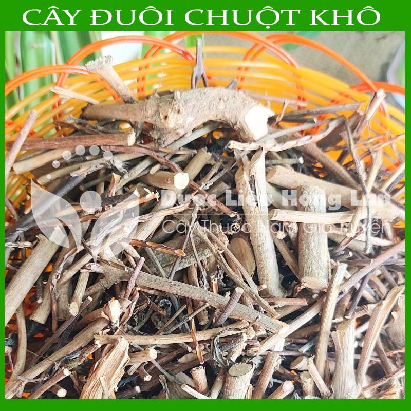 Cây Đuôi Chuột khô đóng gói 500gram