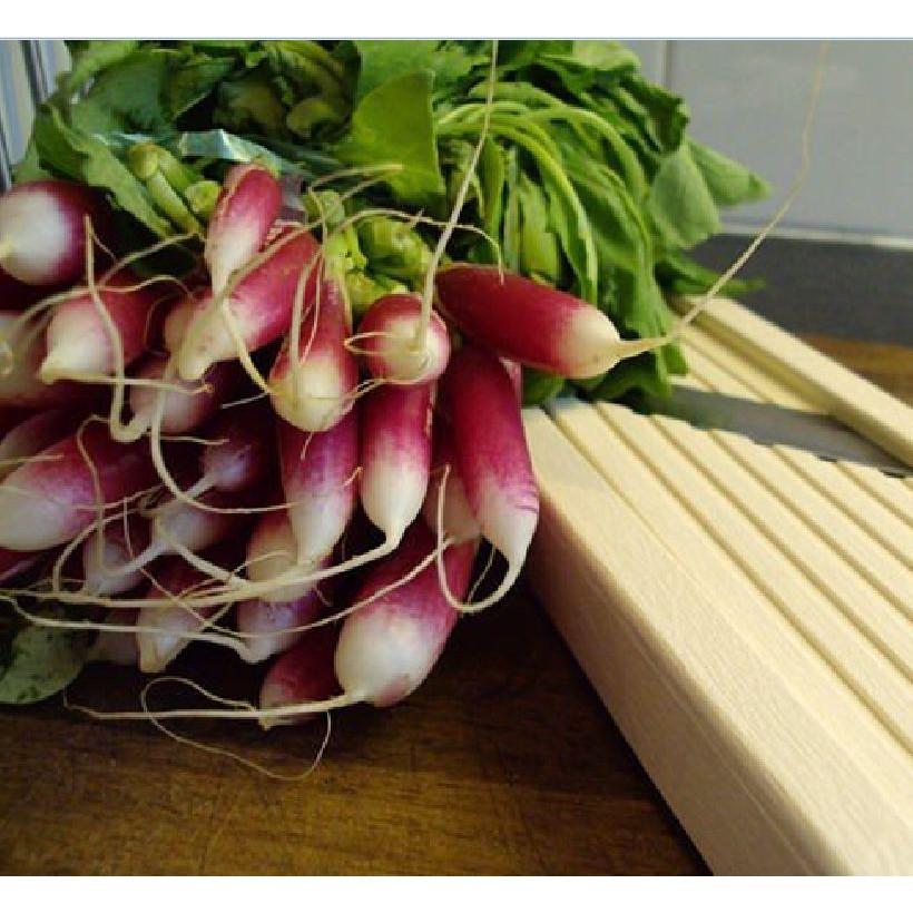 Hạt Giống Củ Cải Đỏ Dài F1 -