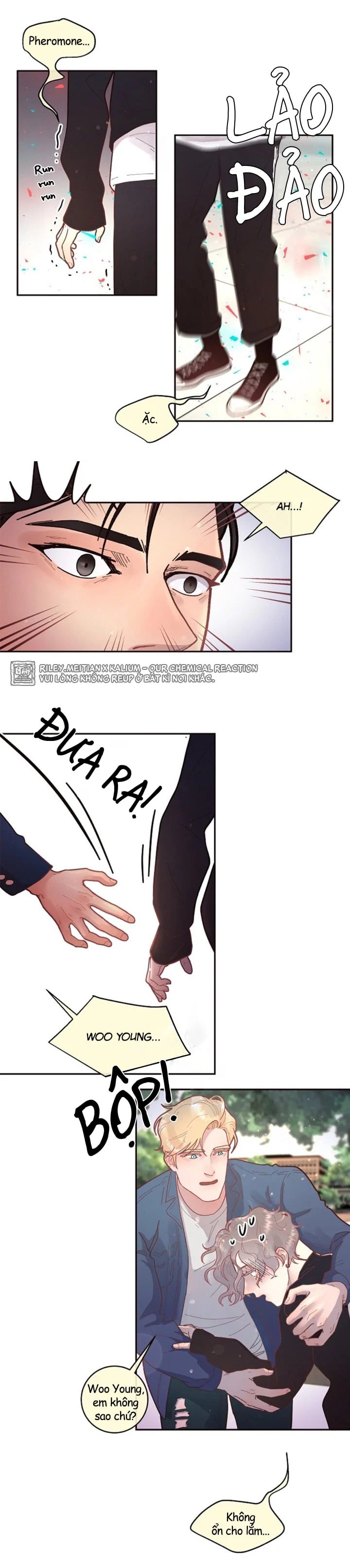 làm cách nào để theo đuổi một alpha? chapter 31 6