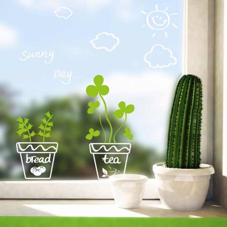 Decan Dán Tường Họa Tiết Chậu Hoa