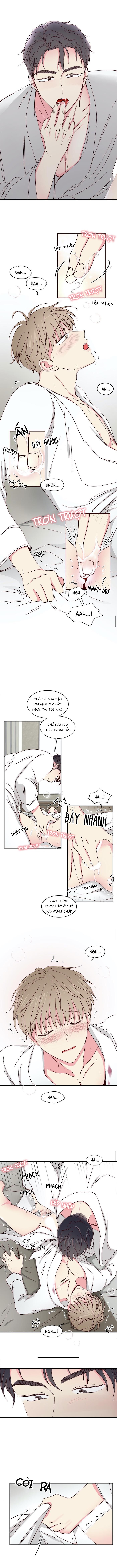 món tráng miệng của sếp tổng chapter 19 2