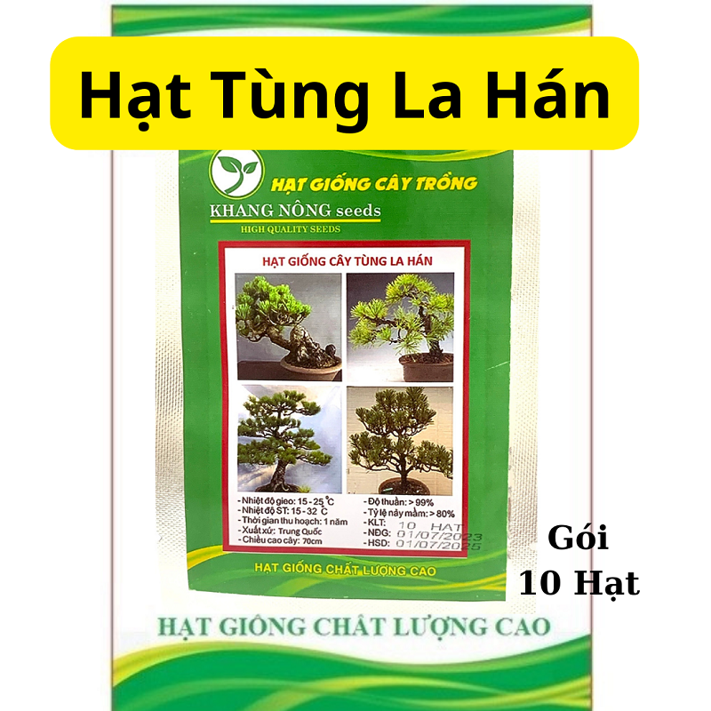 Hạt Giống Tùng La Hán - Gói 10 hạt