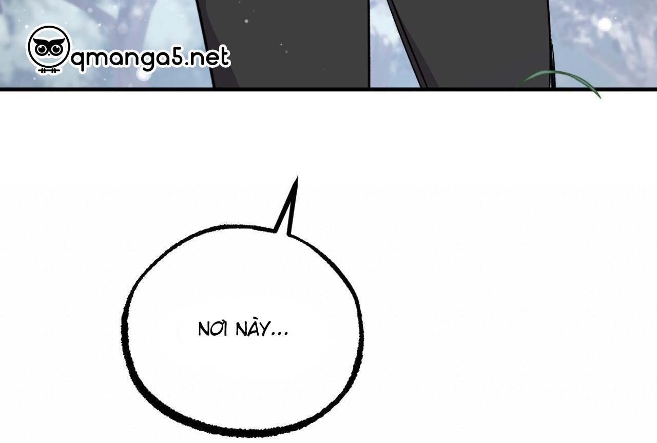 những chú thỏ của hapypy chapter 61 252