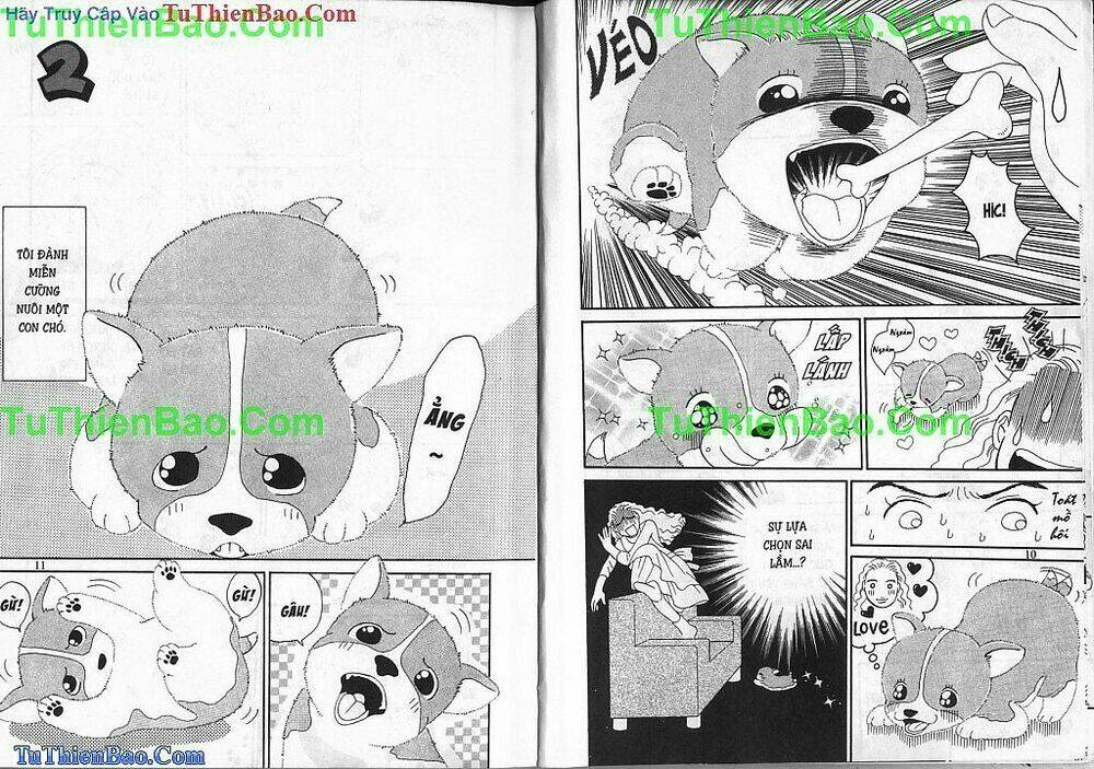 chó con mo mo chapter 1 6