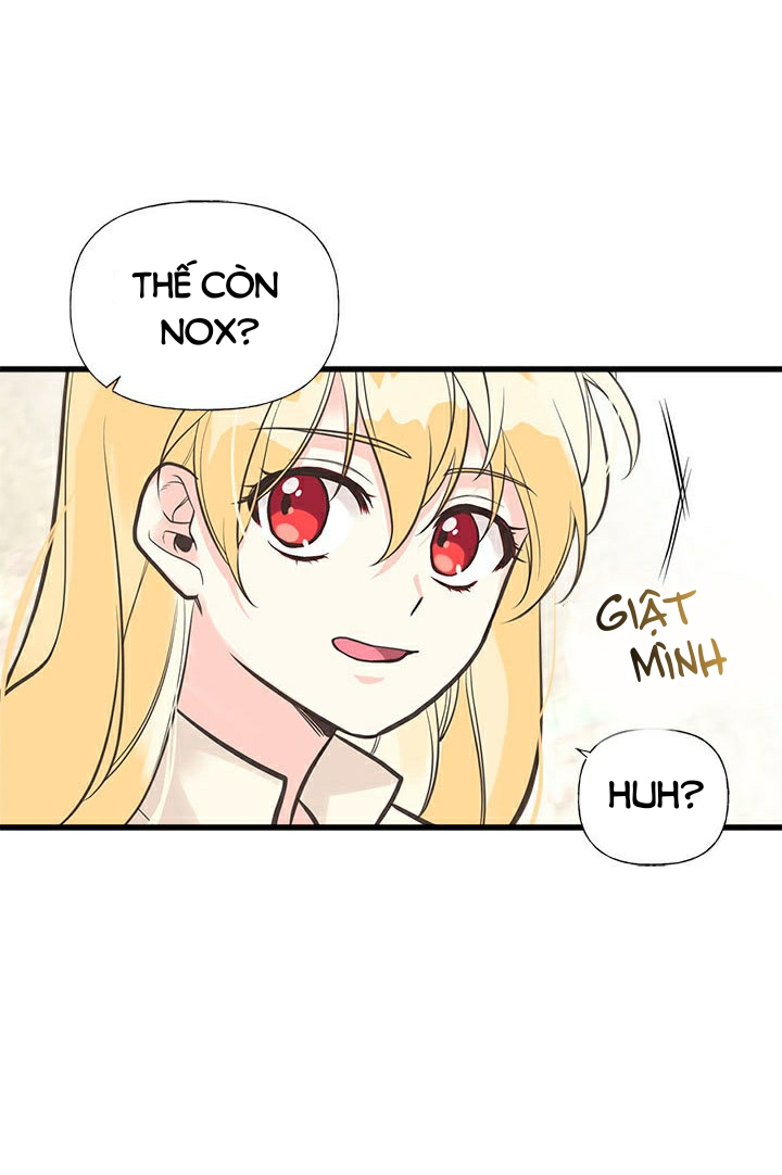 chị tôi đã nhặt về một nam chính quyến rũ chapter 26 13