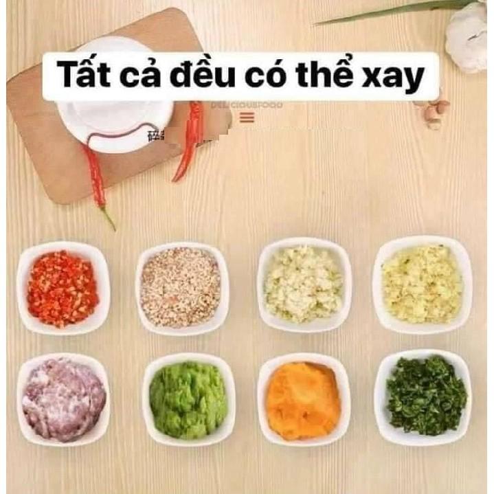 Máy xay tỏi đa năng cầm tay