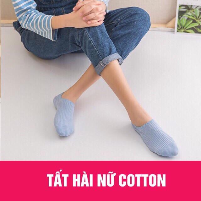Tất Lười Cổ Ngắn-Vớ Lười Thấp Cổ Cotton Len Tăm Co Giãn
