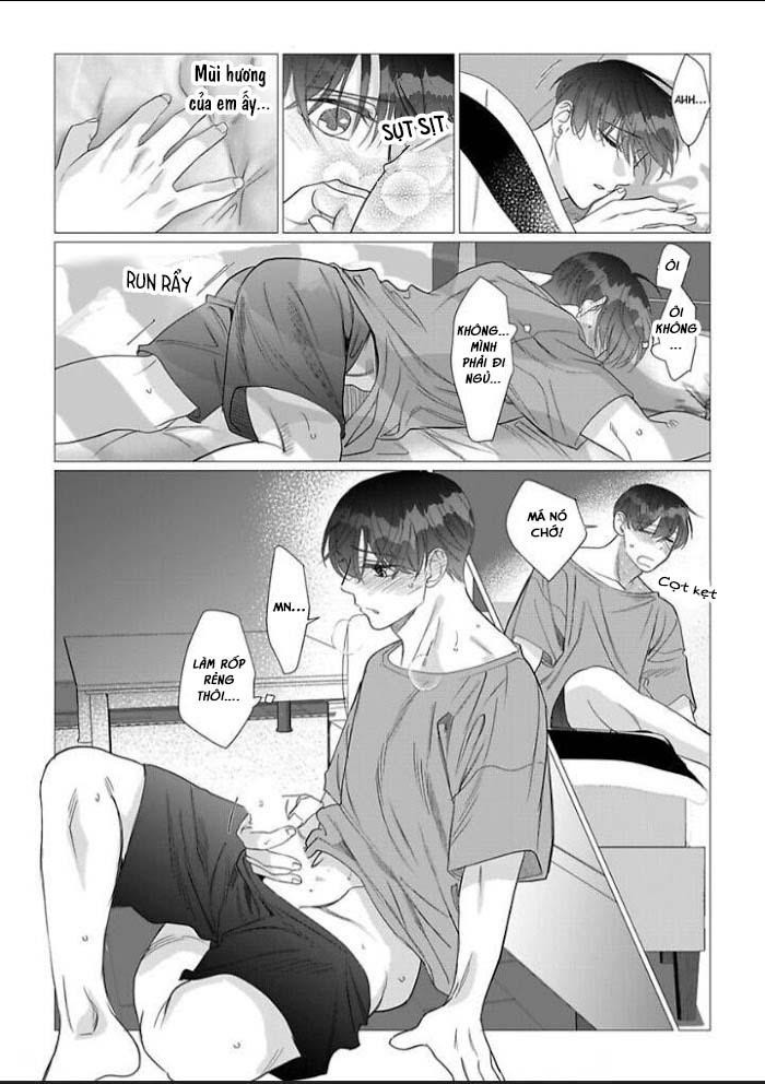 cúc xinh khao khát được chạm vào chapter 10 12