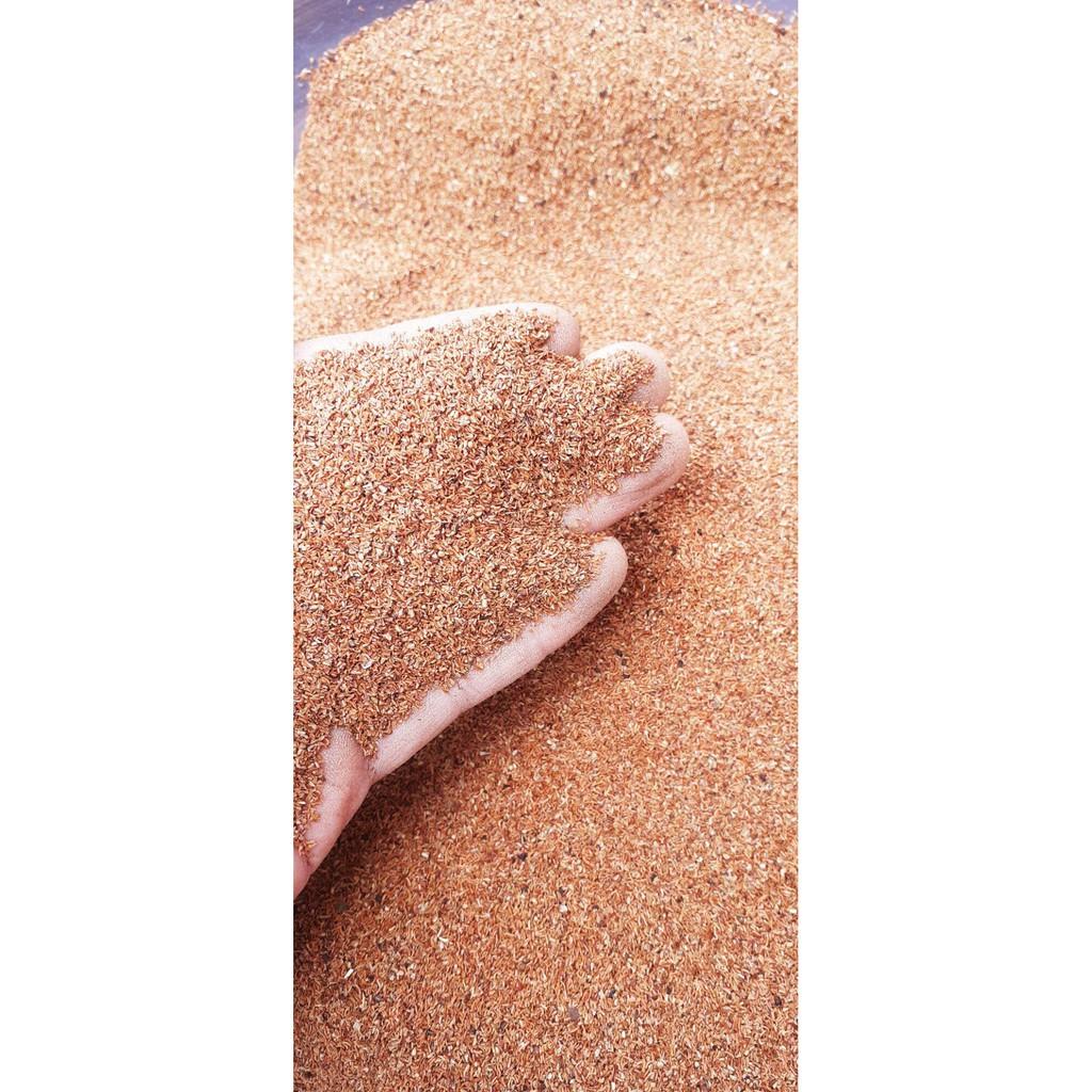 500gram hạt bạch đàn trắng giống