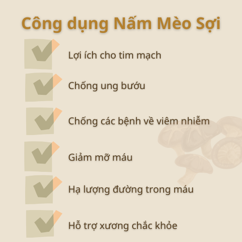 Nấm mèo sợi sấy lạnh - mộc nhĩ sợi Detoko Food chống oxy hóa, bảo vệ tim mạch