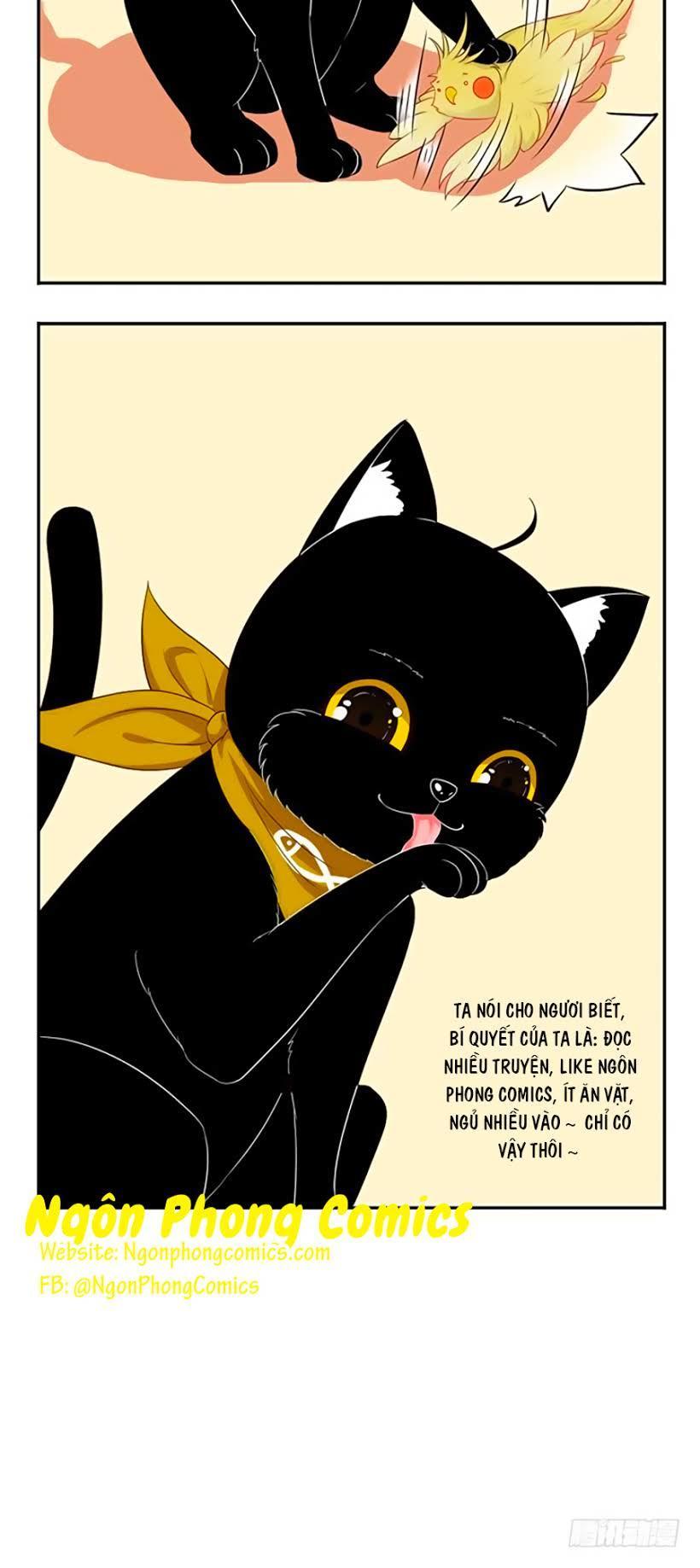 thâm hải chi ca chapter 11 37