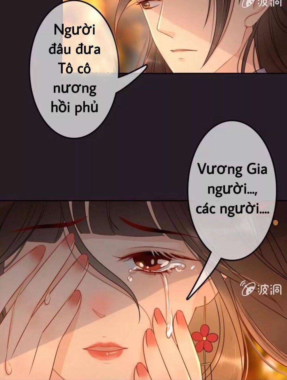 sủng phi của vương chapter 48 18