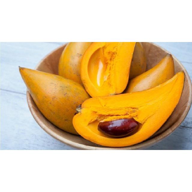 Cây trứng gà  giống