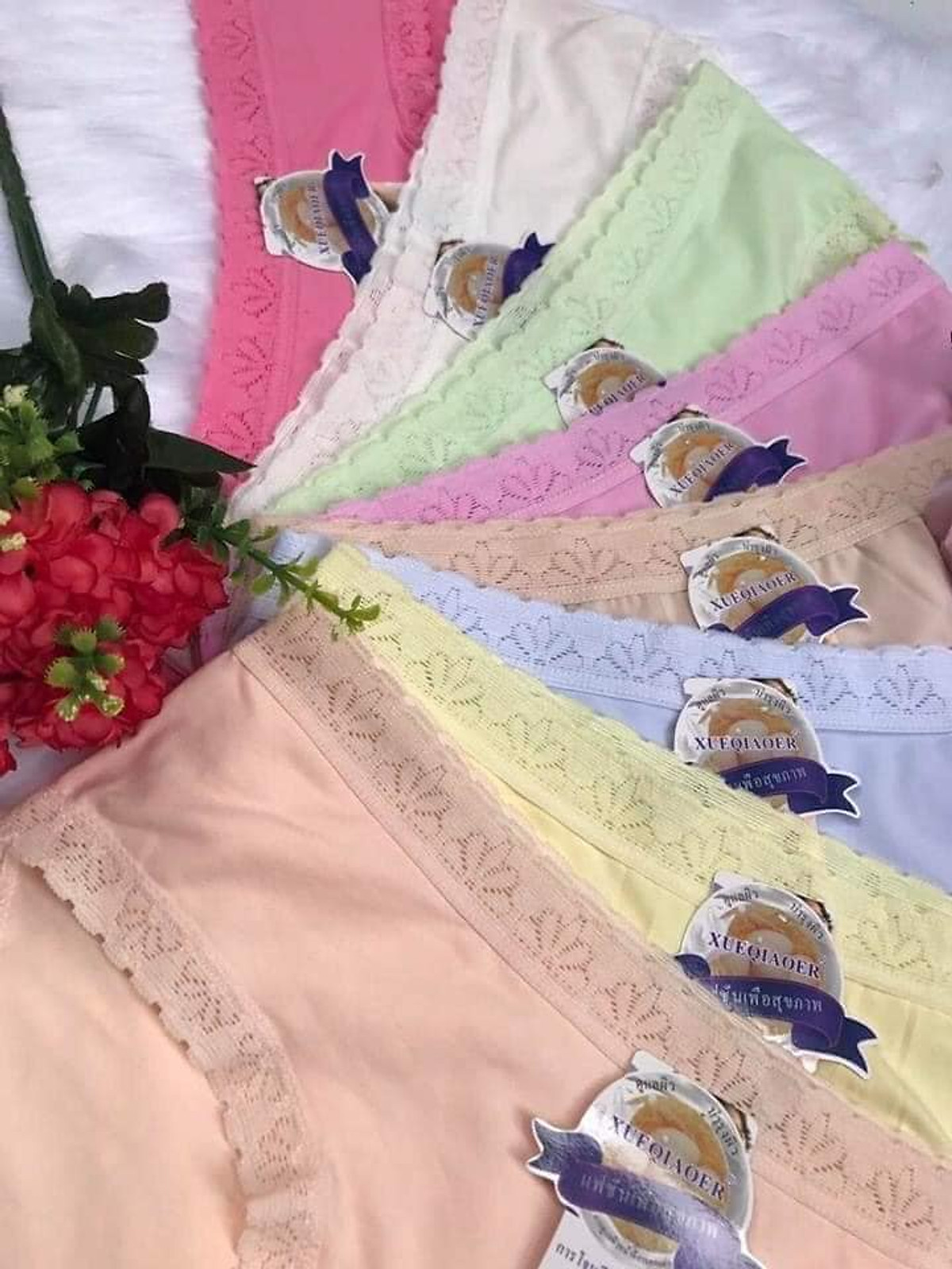 Combo 10 Quần Lót Nữ Cotton Siêu Xinh Viền Ren – Free size 45-60kg – Giao nhiều màu ngẫu nhiên