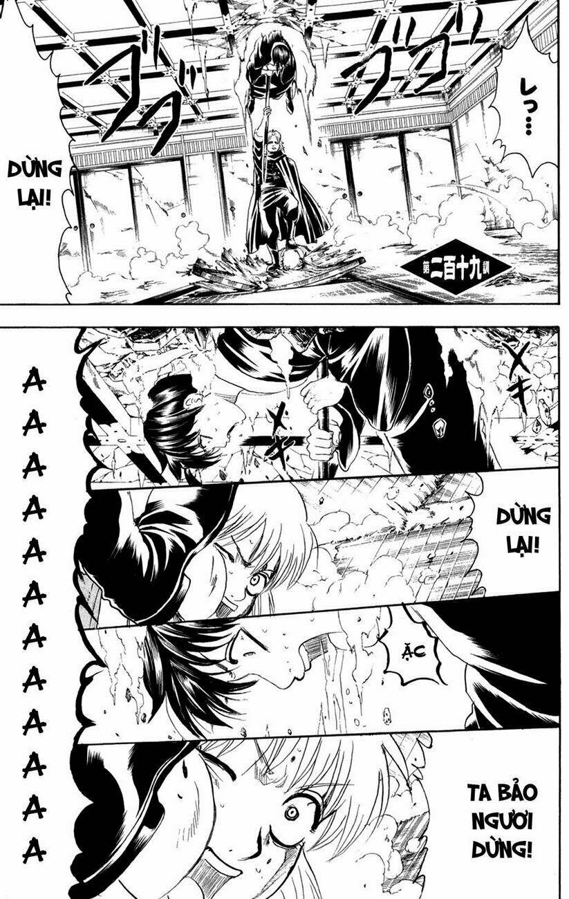 gintama - linh hồn bạc chapter 219 3