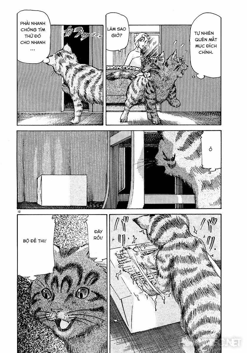 dangerous female teacher chapter 26 12