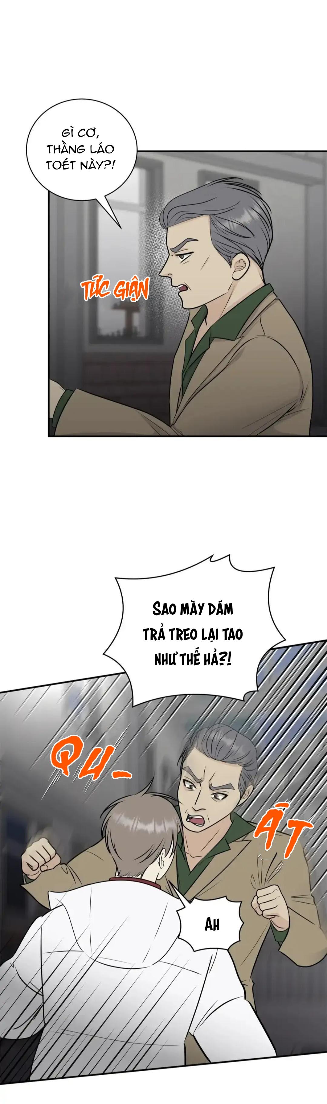 hạnh phúc trọn vẹn chapter 12 31